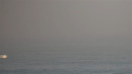 A webcam caught a whale breaching the surface just offshore at Pismo Beach Thursday morning. Whales are rarely found this close to the coast. FULL VIDEO: https://bit.ly/4bi0M36 (Video: 805 Webcams) | FOX26