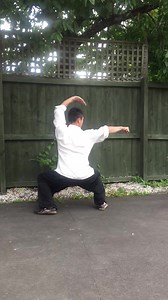 Wu Bu Quan Details for Aiman. Master Song Kung Fu Online Course: www.patreon.com/mastersongkungfu #qigong #shaolinkungfu #kungfu #wushu #martialarts #mixedmartialarts #kickboxing | Master Song Kung Fu