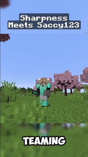 Sharpness Meets Saccy123 #minecraft