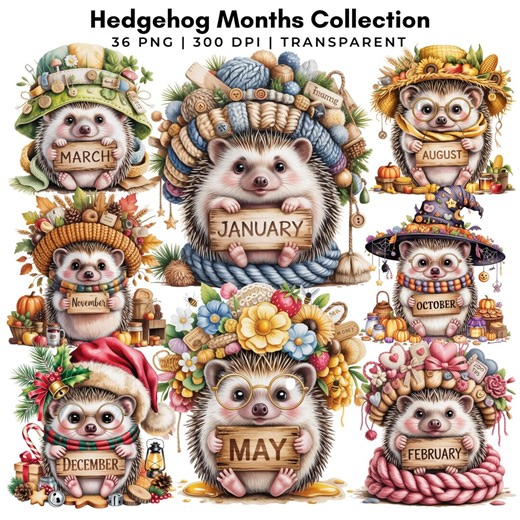 Hedgehog Months Collection 36 PNG | Monthly Clipart | 12 Months Calendar | Digital Sticker - Etsy