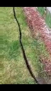 Drop bury by hand. 😬😂 www.catvtraining.com | CATV Training Institute