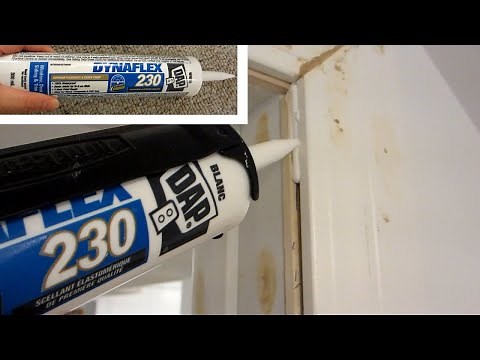 Dynaflex 230 Dap Sealant | Premium Window, Door, and Trim Sealant: Review & Demo