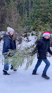 Talbot tradition…tree hunting…drive up into the hills and find a big tree and a Charlie Brown tree. Started doing this when the kids were 2 & 3 | Todd Talbot