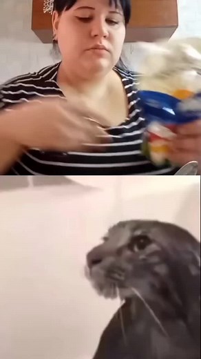 Головач Лена на TikTok