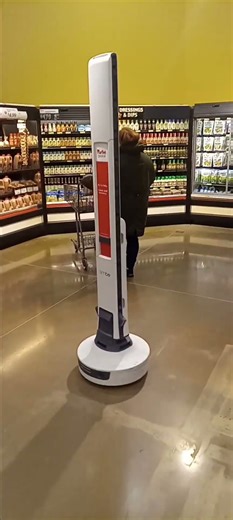 R2 D2 Spotted working at Martin's in Goshen