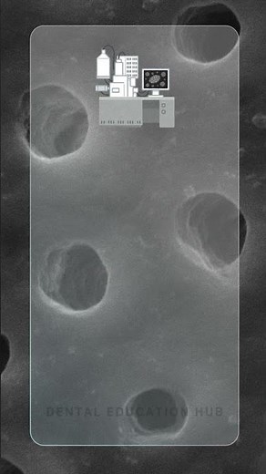 Dentinal Tubules Electron Microscope Image