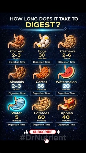 FAST VS SLOW DIGESTION FOODS ⚡🐔🥜 | HOW LONG IT REALLY TAKES #HEALTHYEATING