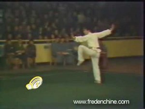 jet li wushu competition 1978