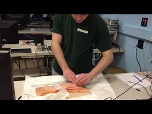 Wireless Body Sensor Network for Remote Monitoring, Gold 2017