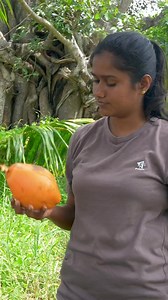 Coconut cutting hacks for camping and survival #survival #bushcraft#coconut #jungle | Camping Book