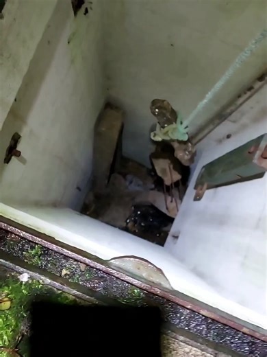 #Bunker hunting 🤪💚