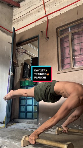 Day 297 training planche✨#calisthenics #beginner #planche #reiddoesfitness