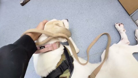 Her first walk ever... and she's already older