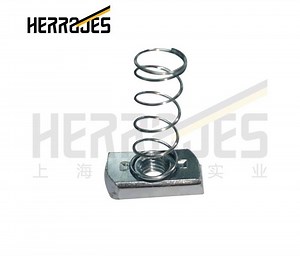 [Hot Item] Spring Nut