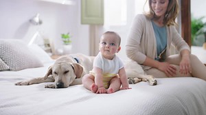 55K views · 102 reactions | ¡Ya tenemos aquí el nuevo spot de Advantix!  Ellos harían cualquier cosa por protegernos... ¿cómo no vamos a protegerlos a ellos también si somos todos de la misma familia? Y eso es, sin duda, #AdvantixAmorVerdadero. Recuerda que protegerle con Advantix® significa eliminar pulgas y garrapatas, y además prevenir la leishmaniosis creando una barrera repelente. Nos encanta el nuevo y tierno anuncio… ¿Y a vosotros?  | Advantix España | Facebook