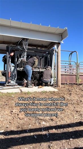 🤷🏼‍♀️or I just have the style choices of a man #western #ranchlife #cowboy #cattleranch #westernlifestyle