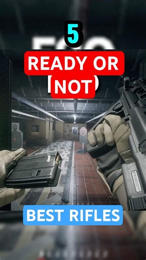 Use This Rifle in Ready or Not!