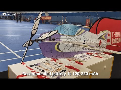 T-MOTOR HOBBY AM Coaxial thrust system(1S) with 17.5 inch props for F3P indoor