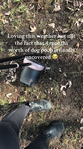 Checking in on Your Pup Parents This Spring