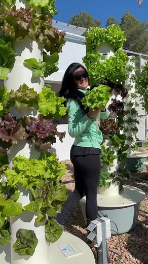 Grow Over 160 Crops on an Aeroponic Tower Garden