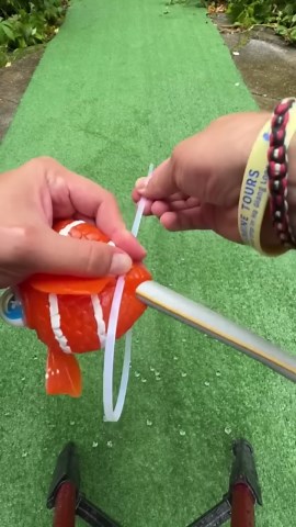 My Garden Got Flooded by Nemo