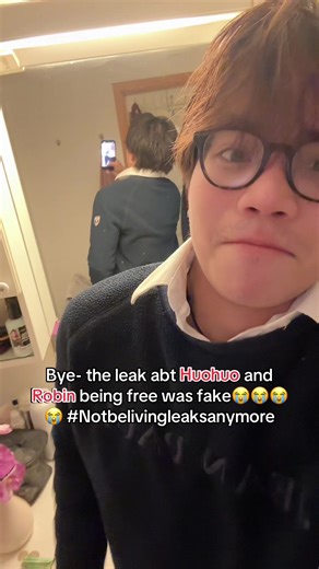 Debunking the Huohuo and Robin Leak Rumors