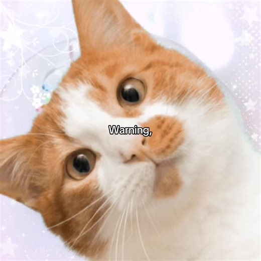 My 2025 recap! #sonicthehedgehog #sonadow #outcomememories | delta the hedgehog