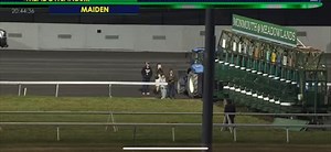2.7K views · 1.2K reactions | Winner tonight at the meadowlands racetrack for trainer @jorgeduartecns and owner @_stephen_santulli . Huge thanks for the team and barn for giving me the opportunity to ride this 2 year old filly “Pure Bliss”. God is good all the time      video coming soon of my POV. | Ramon F Moya | Facebook
