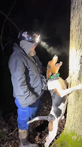 4.8K views · 3.5K reactions | 類✏️TERMINOLOGY✏️類 If you’re new to...