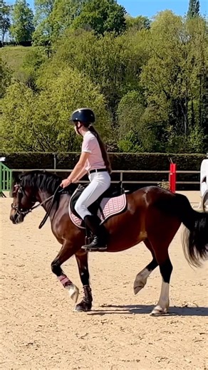 Ce qui s'est passé avec Pride sur la piste 😰 #horses #équitation #shock