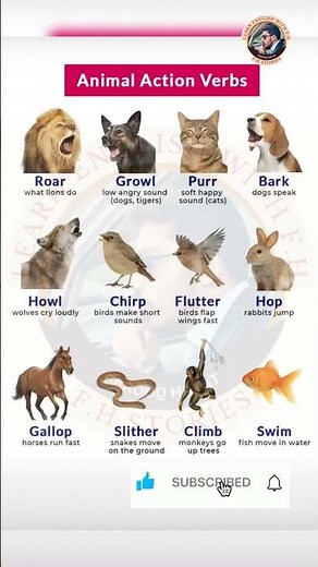 Animal Action Verbs with Pictures | Easy English Learning for Kids | Animal Sounds & Actions