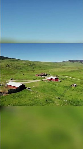 Epic Drone Flyover: Mountains, Forests, and Vast Green Fields #shorts