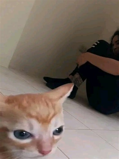 nuevo fandub/doblaje con mis amigas! está vez con algo más de compañía! de manera temporal subiré doblajes con ellas en mí cuenta, más adelante haremos una cuenta para estos videos 1x4 y 007N7 - yo noli y Azure: @Asha c00lkidd y itrapped - @Patman119 John doe - [no tengo su usuario] el cómic no me pertenece, créditos correspondientes al artista - @ANASHE #fandub #forsaken #007n7 #noli #johndoeforsaken