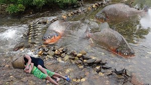 36K views · 1.1K reactions | Survival Skills: Primitive Fishing Skills Catch Big Fish At Stream - Cooking Fish For Survival © Copyright by Primitive Cooking KT | Primitive Cooking KT | Facebook