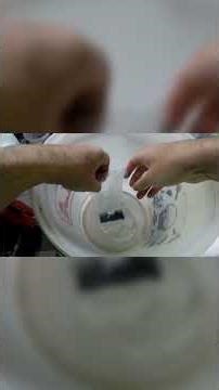 Transferring My New Hawaiian Red Shrimp: Count Them!