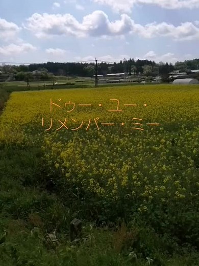 #ドゥー・ユー・リメンバー・ミー #DoYouRememberMe #1980 #安井かずみ作詞 #加藤和彦作曲 #岡崎友紀 #YUKI名義 #ビー・マイ・ベイビー #意識して作曲 #BeMyBaby #ザ・ロネッツ #1963