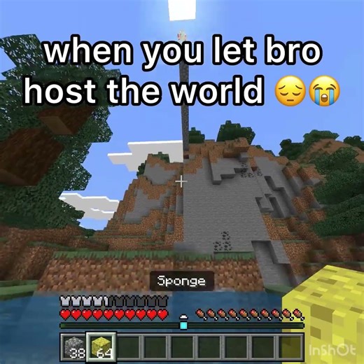 Bro went into creative mode 😔 #minecraft