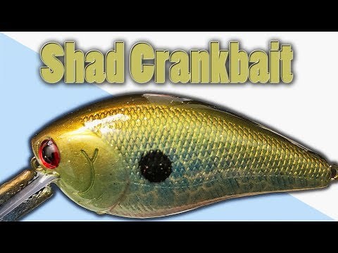 Airbrush Painting SHAD Squarebill Crankbait | Painting Fishing Lures