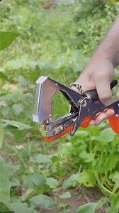 7.7M views · 132 reactions | Maximize your gardening game with this speedy plant tying machine for vining veggies and flowers!  #planttyingmachine #gardeningtool #viningvegetables #flowerplanting #temufinds #gardeninghack #gardenlife #growyourown #savemoney #shopping | Crossman werwer | Facebook