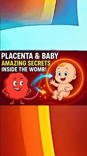 Placenta & Baby Secret in 60 Seconds!