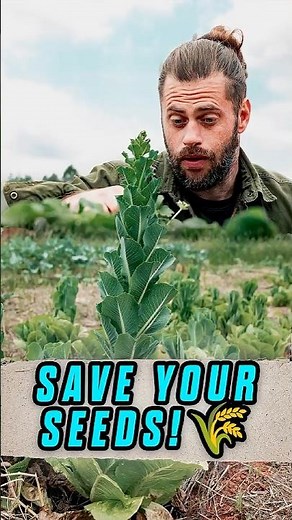 SAVE YOUR SEEDS