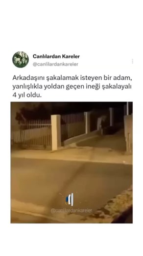 alientmblrx ꪜ on Instagram