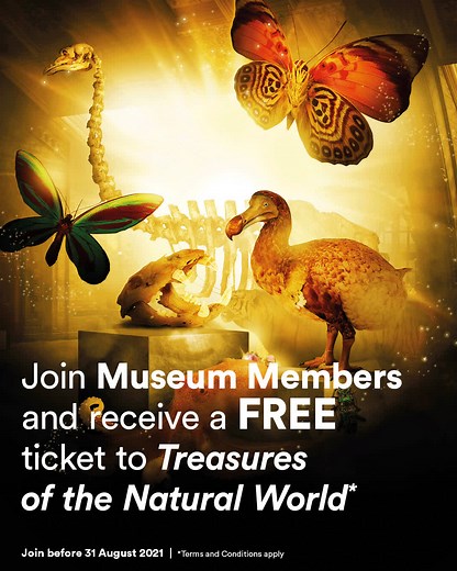 Join Museum Members now and save! 🎁 Join or renew your membership and receive a FREE* ticket to one of our new touring exhibitions: Treasures of the Natural World at Melbourne Museum OR Born or Built? Our Robotic Future at Scienceworks! | Museums Victoria