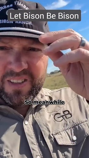 We sell most of our yearlings because of the lack of space simply. As the animals get older, they eat more grass and that’s where we want them to be. So to keep our stocking rates at a safe number, we must sell by the time they’re yearlings. I recently sold this heifer along with five more. You can watch all of this on our YouTube channel. #bison #ranchlife #buffalo #farm #regenerativeagriculture | Cross Timbers Bison