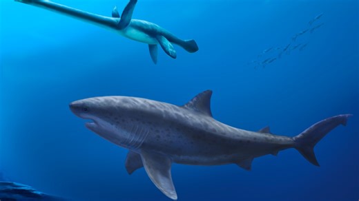 Before megalodon, researchers say a monstrous shark ruled ancient Australian seas
