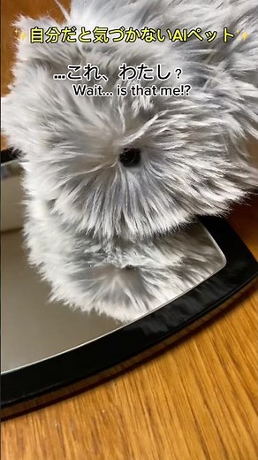 モフリン、鏡に吸い込まれる!? ✨