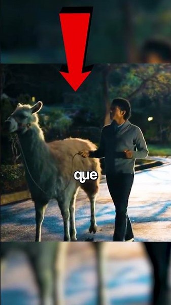 THE TRUTH ABOUT MICHAEL JACKSON'S LLAMA
