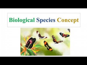 Biological Species Concept