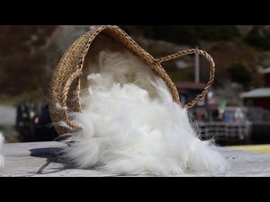 Angora Borealis! The Process of Crafting Angora Wool