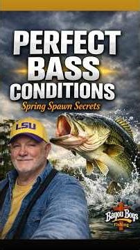 Perfect Spring Bass Conditions in Louisiana (Most Anglers MISS This!